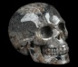 Preview: Skull Yooperlit UV